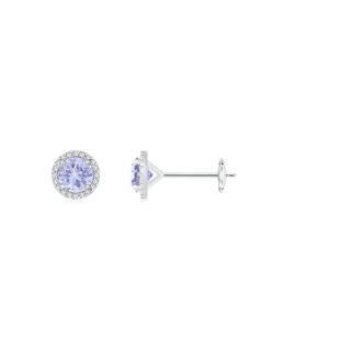 5mm A Classic Tanzanite and Diamond Halo Stud Earrings in 10K White Gold