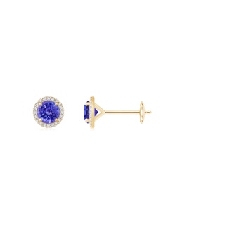 5mm AAAA Classic Tanzanite and Diamond Halo Stud Earrings in Yellow Gold