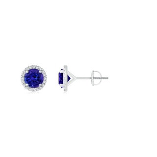 6mm AAAA Classic Tanzanite and Diamond Halo Stud Earrings in P950 Platinum