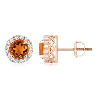 6mm AAAA Round Citrine and Diamond Halo Stud Earrings in Rose Gold