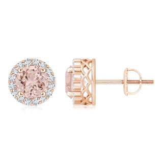 6mm AAA Round Morganite and Diamond Halo Stud Earrings in Rose Gold