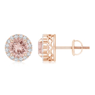 6mm AAAA Round Morganite and Diamond Halo Stud Earrings in Rose Gold