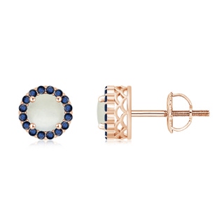 6mm AA Round Moonstone and Sapphire Halo Stud Earrings in Rose Gold