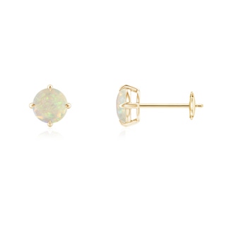 5mm AAA Basket-Set Round Opal Stud Earrings in 9K Yellow Gold