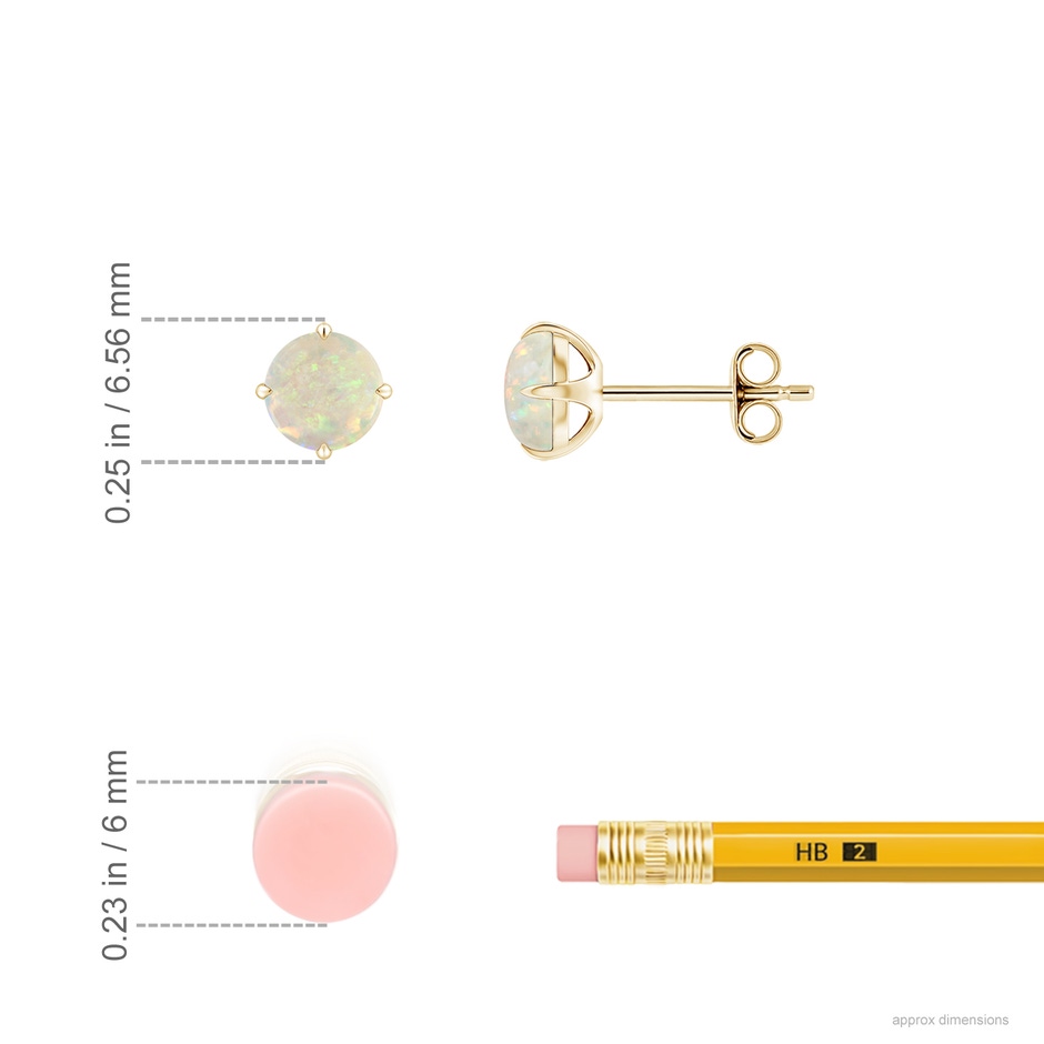 5mm AAA Basket-Set Round Opal Stud Earrings in Yellow Gold ruler