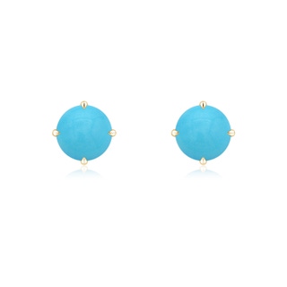 Round AA Turquoise