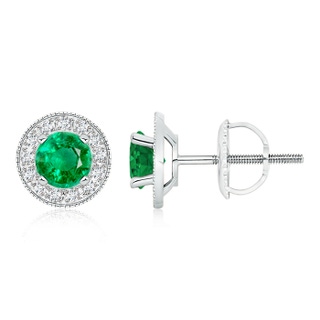 6mm AAA Emerald Margarita Stud Earrings with Diamond Halo  in P950 Platinum
