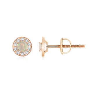 4mm AAAA Opal Margarita Stud Earrings with Diamond Halo  in Rose Gold