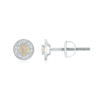4mm AAAA Opal Margarita Stud Earrings with Diamond Halo  in White Gold