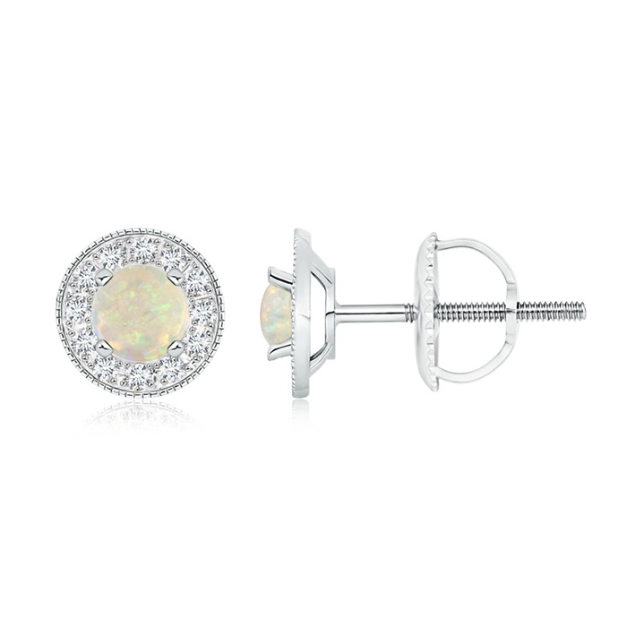 5mm AAA Opal Margarita Stud Earrings with Diamond Halo  in White Gold