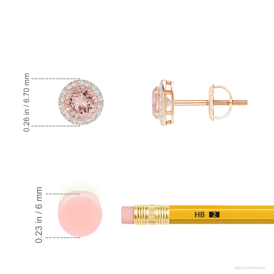 4mm AAAA Vintage-Inspired Round Morganite Halo Stud Earrings in Rose Gold ruler