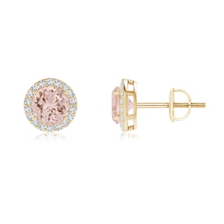 5mm AAA Vintage-Inspired Round Morganite Halo Stud Earrings in Yellow Gold