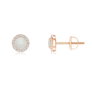 4mm A Vintage-Inspired Round Moonstone Halo Stud Earrings in Rose Gold