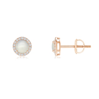 4mm AAA Vintage-Inspired Round Moonstone Halo Stud Earrings in Rose Gold