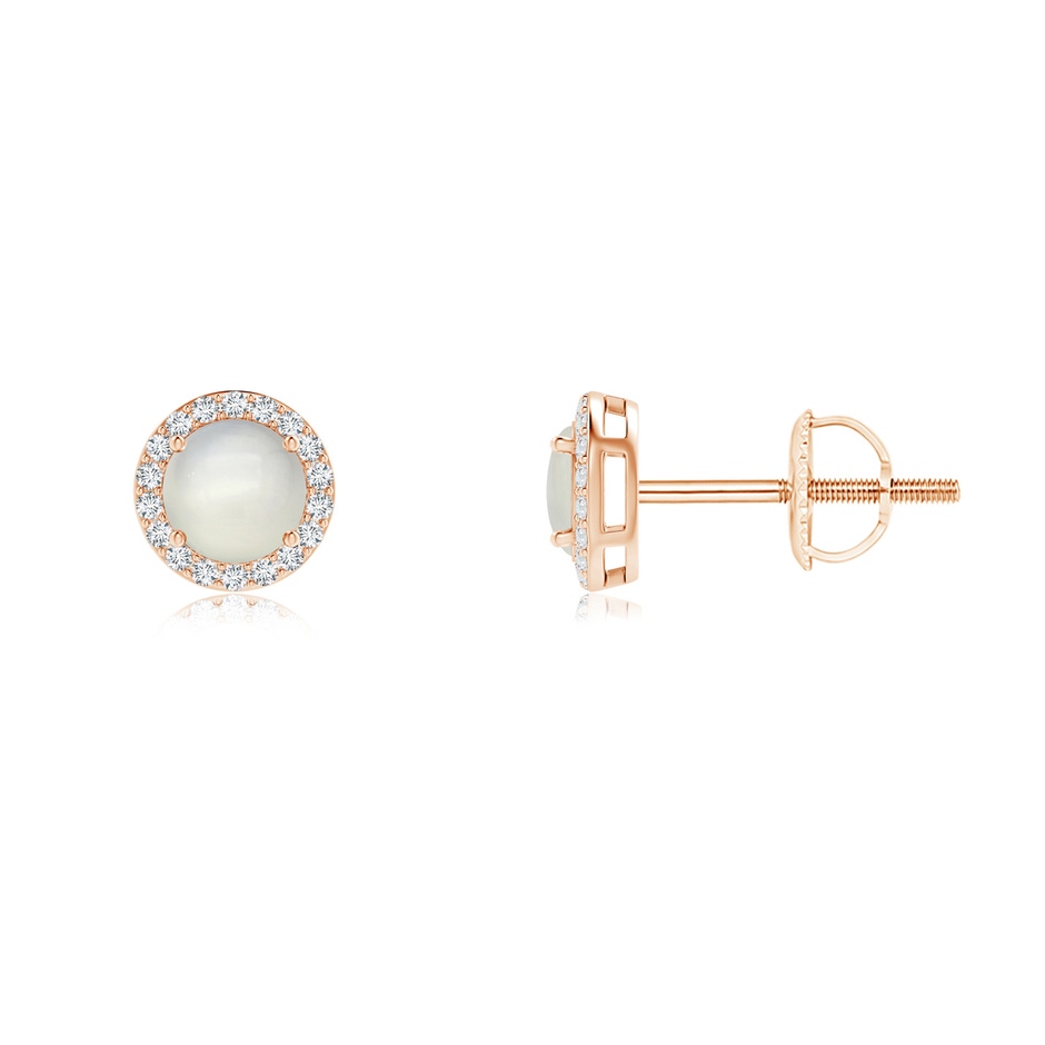 4mm AAA Vintage-Inspired Round Moonstone Halo Stud Earrings in Rose Gold 