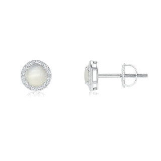 4mm AAA Vintage-Inspired Round Moonstone Halo Stud Earrings in White Gold