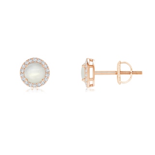 4mm AAAA Vintage-Inspired Round Moonstone Halo Stud Earrings in 9K Rose Gold