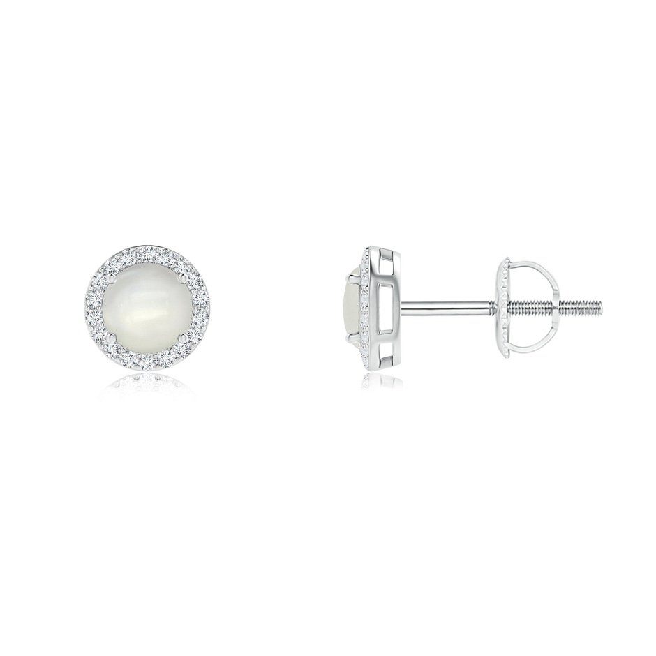 4mm AAAA Vintage-Inspired Round Moonstone Halo Stud Earrings in White Gold 