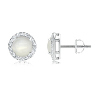 6mm AAAA Vintage-Inspired Round Moonstone Halo Stud Earrings in White Gold