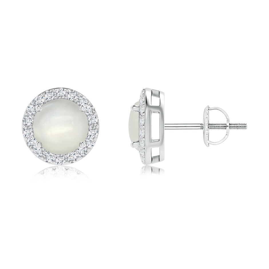6mm AAAA Vintage-Inspired Round Moonstone Halo Stud Earrings in White Gold 