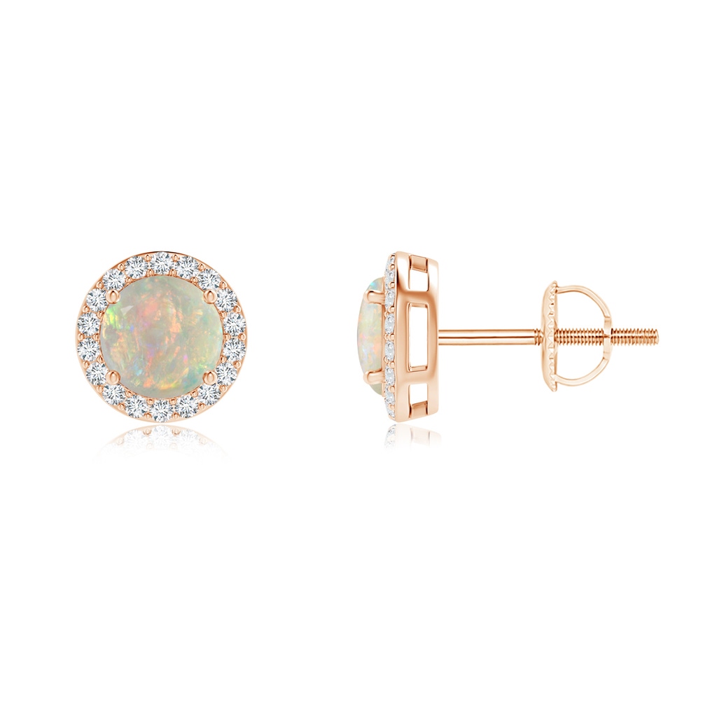 5mm AAAA Vintage-Inspired Round Opal Halo Stud Earrings in Rose Gold