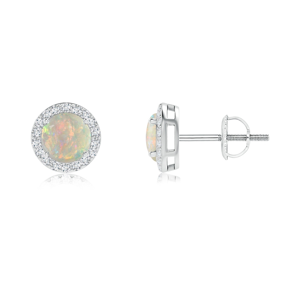 5mm AAAA Vintage-Inspired Round Opal Halo Stud Earrings in White Gold 