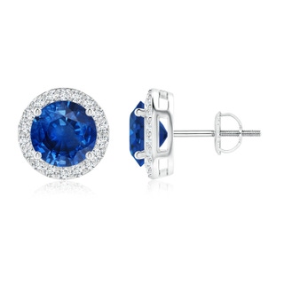 8mm AAA Vintage-Inspired Round Blue Sapphire Halo Stud Earrings in White Gold