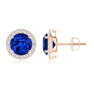8mm AAAA Vintage-Inspired Round Blue Sapphire Halo Stud Earrings in Rose Gold