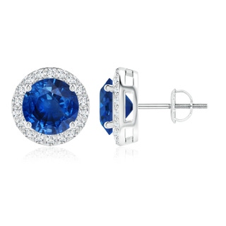9mm AAA Vintage-Inspired Round Blue Sapphire Halo Stud Earrings in P950 Platinum