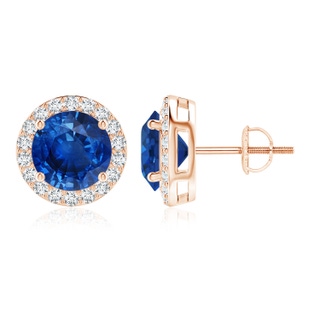 9mm AAA Vintage-Inspired Round Blue Sapphire Halo Stud Earrings in Rose Gold