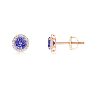 4mm AAA Vintage-Inspired Round Tanzanite Halo Stud Earrings in Rose Gold