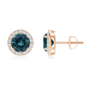 6mm AAA Vintage-Inspired Round Teal Montana Sapphire Halo Stud Earrings in Rose Gold