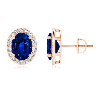 8x6mm AAAA Oval Blue Sapphire Stud Earrings with Diamond Halo in 9K Rose Gold