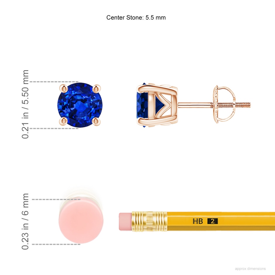 5.5mm AAAA Vintage Style Round Blue Sapphire Solitaire Stud Earrings in Rose Gold ruler