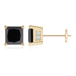 Princess AA Enhanced Black Diamond