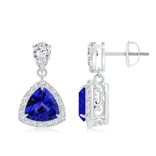 6mm AAAA Claw-Set Trillion Tanzanite Halo Earrings in White Gold