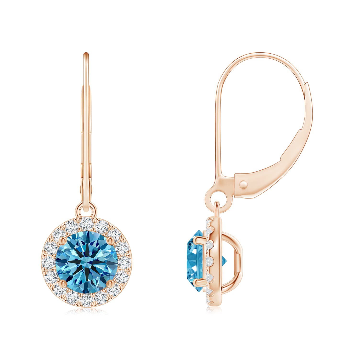 Angara 1.52 CTW Round Fancy Intense Blue Diamond Leverback Halo Dangle Earrings in 14K Rose Gold