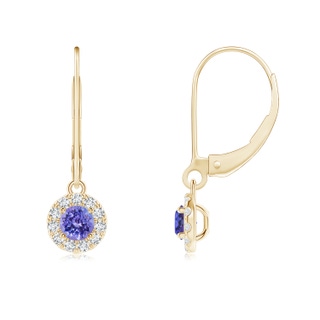 4mm AAA Round Tanzanite Leverback Halo Dangle Earrings in Yellow Gold