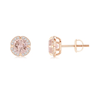 5mm AAA Claw-Set Morganite Clover Stud Earrings in Rose Gold