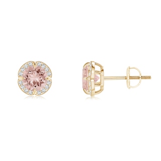 5mm AAAA Claw-Set Morganite Clover Stud Earrings in Yellow Gold