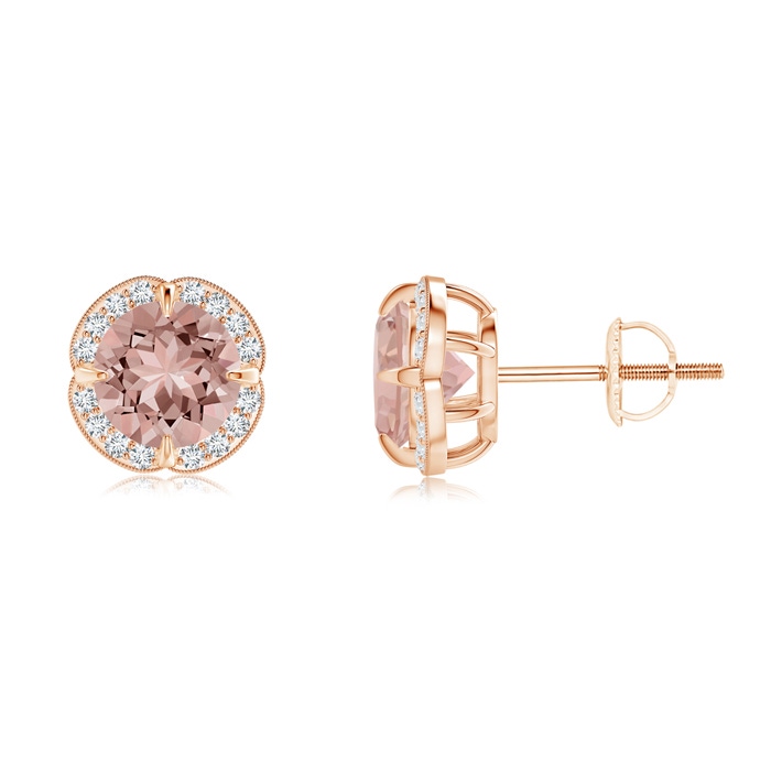 6mm AAAA Claw-Set Morganite Clover Stud Earrings in Rose Gold 