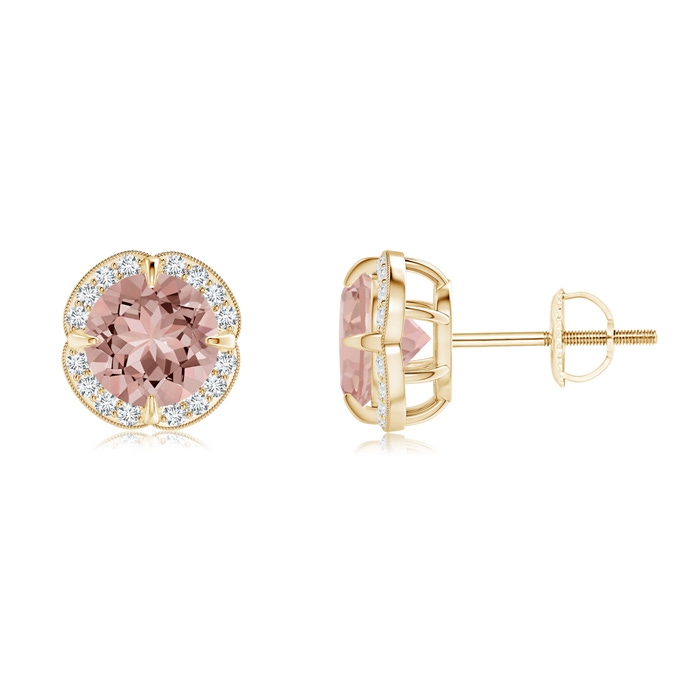 6mm AAAA Claw-Set Morganite Clover Stud Earrings in Yellow Gold