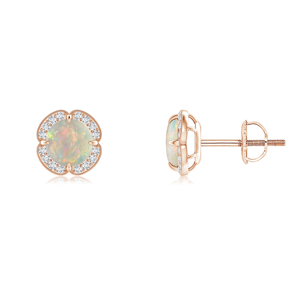 5mm AAAA Claw-Set Opal Clover Stud Earrings in Rose Gold