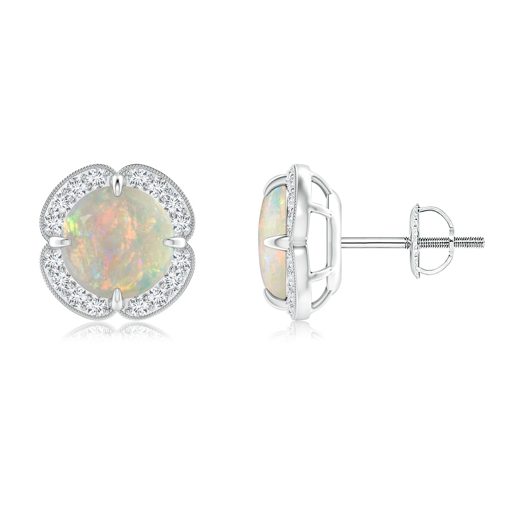 7mm AAAA Claw-Set Opal Clover Stud Earrings in White Gold 