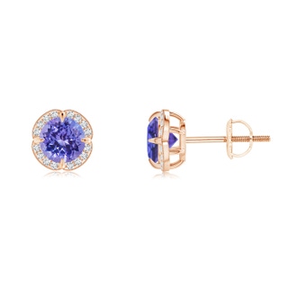 5mm AAA Claw-Set Tanzanite Clover Stud Earrings in 10K Rose Gold