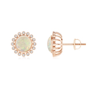 6mm AAA Bezel-Set Opal and Diamond Halo Stud Earrings in 10K Rose Gold