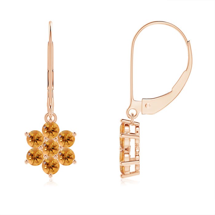 AA - Citrine / 0.84 CT / 14 KT Rose Gold