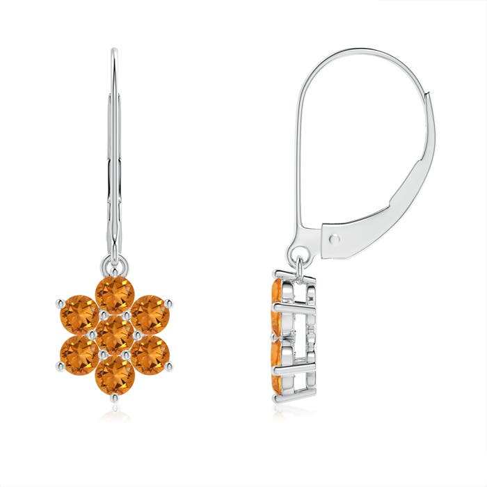 AAA - Citrine / 0.84 CT / 14 KT White Gold