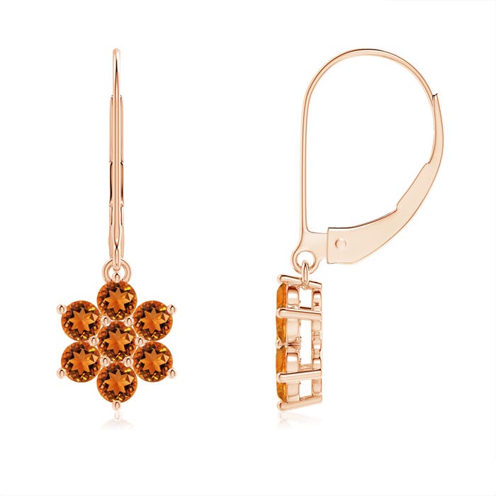 AAAA - Citrine / 0.84 CT / 14 KT Rose Gold