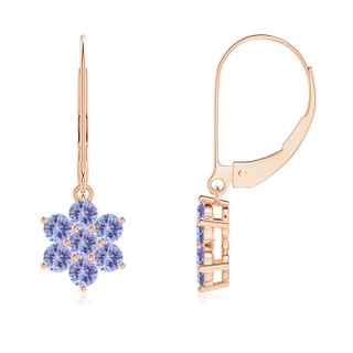Round AA Tanzanite